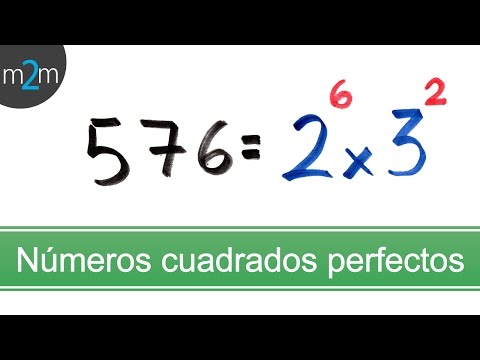 Video: ¿Cuáles son los números cuadrados hasta el 50?