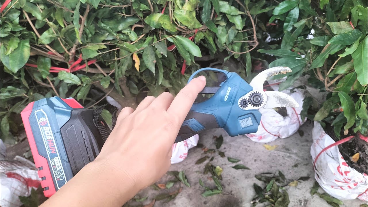 kéo cắt cành cây bằng điện (0349361576) #maivang #garden #mai #nhavuon #maitang