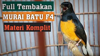 MURAI BATU F4 Tembakan Dahsyat Full Materi cungkok,cililin,gereja tarung,lovebird,kapas tembak dll.