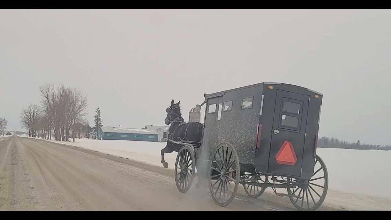 Mennonite Buggies and the secret wildlife staff Journey with Jason George Photography  Episode 11