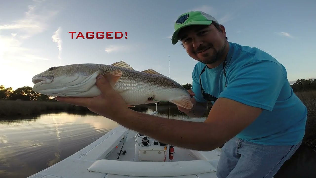 Fowl River Tagged Redfish YouTube