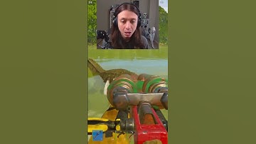 Crocodiles in rust are INVINCIBLE...