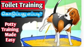 Puppy pee & potty training in an Appartment in Tamil /Toilet training for dogs in Tamil / PET TOILET