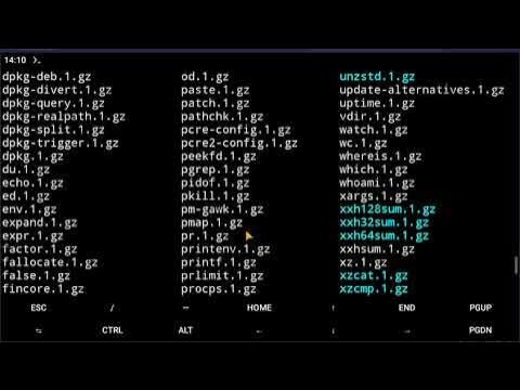Localizar ruta de Herramienta o Comando en Termux - YouTube