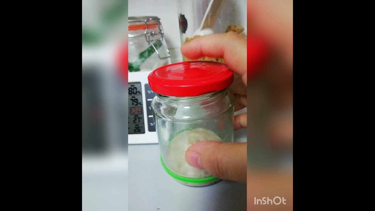 Frozen sourdough starter, how to revive it