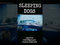 SLEEPING DOGS