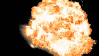 Zoe Here Comes The Sun