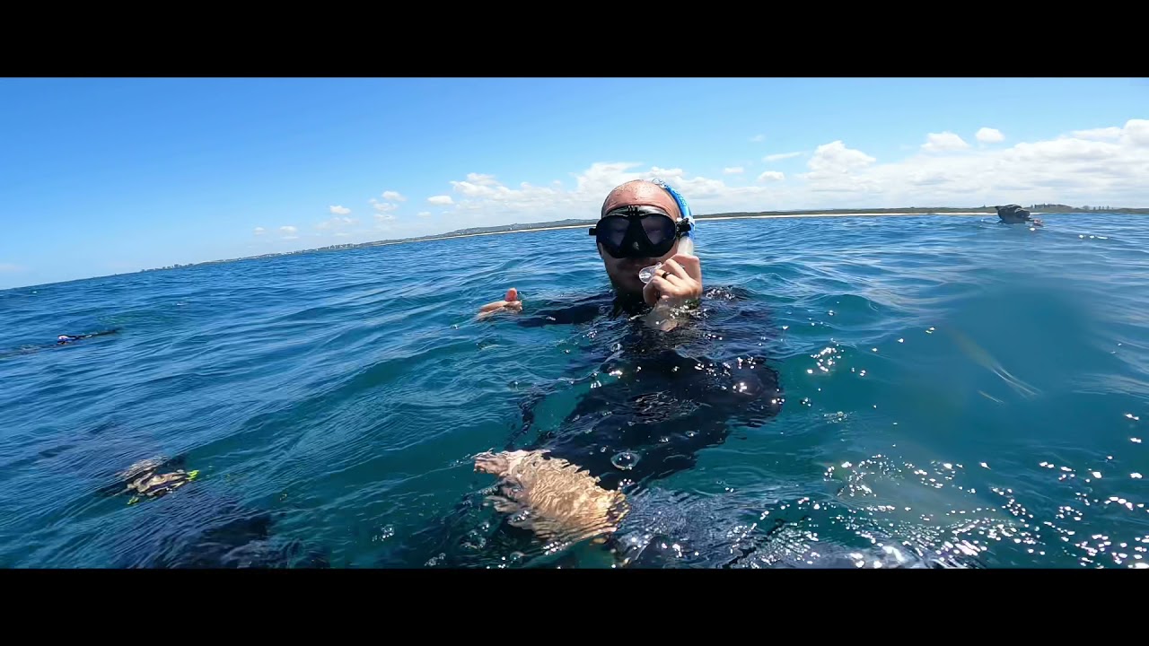 Mudjimba Island Snorkelling, Sunreef Mooloolaba, Sea turtles, GoPro Hero9