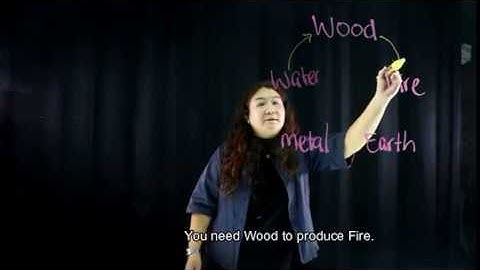 Introduction to 5 Element Cycle