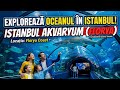 Istanbul Aquarium FLORYA | Acvariu Istanbul tur complet