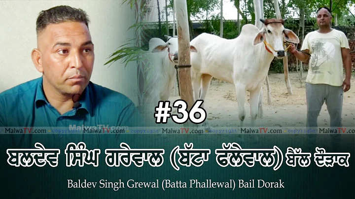 #36 INTERVIEW | BALDEV SINGH GREWAL (Batta Phallew...
