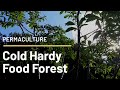 Cold Hardy Permaculture: Food Forest, an ecosystem pond, swales, and more.
