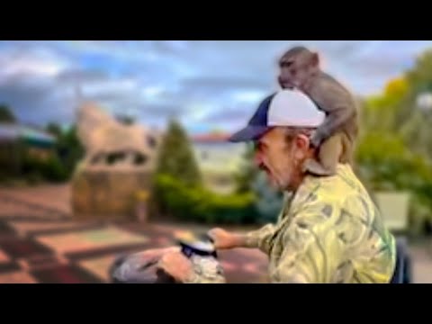 Влад с Люськой поехали на прогулку ПОРАДОВАТЬ  ПОСЕТИТЕЛЕЙ)))