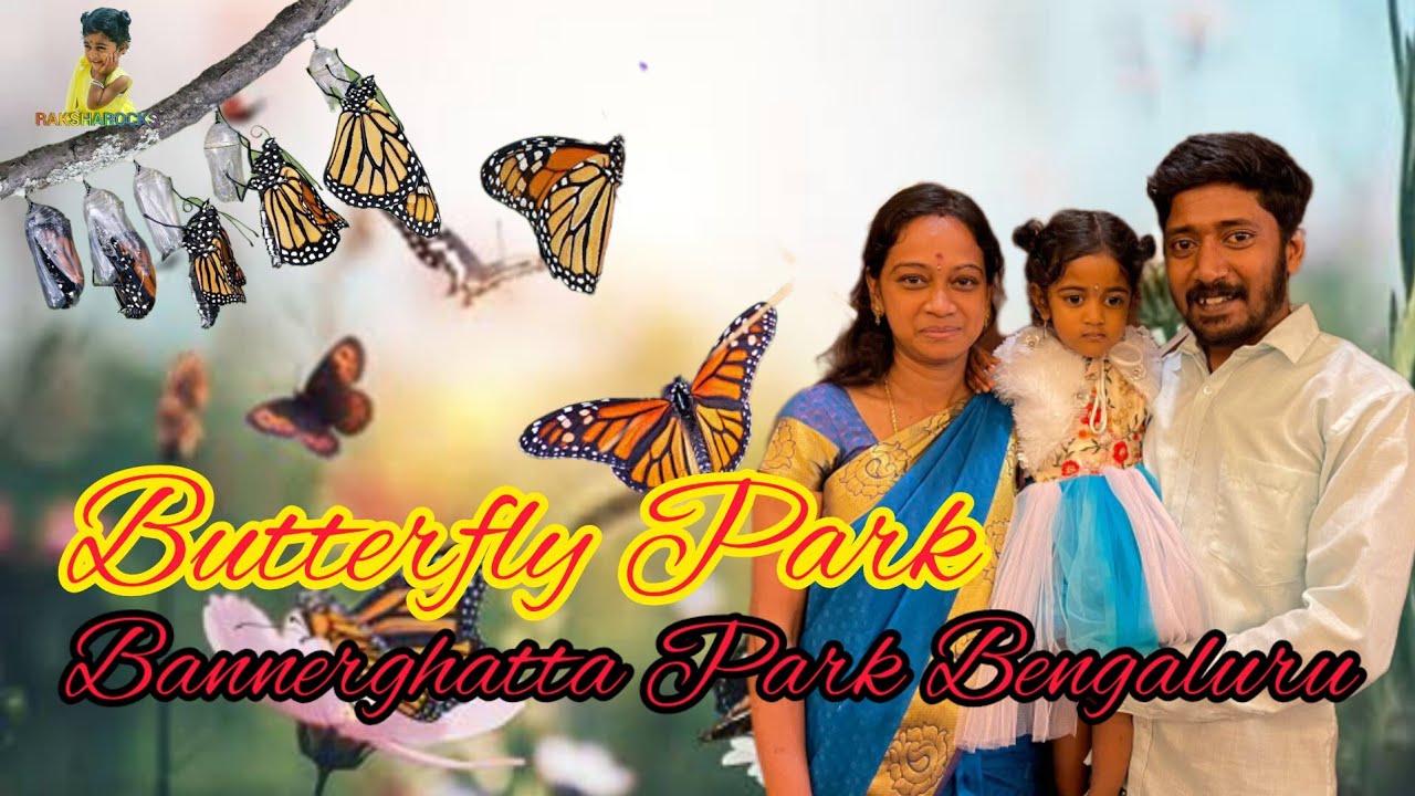 butterfly park Bannerghatta national park butterfly museum