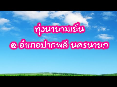 เที่ยวท้องทุ่งอำเภอปากพลี จังหวัดนครนายก