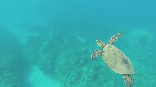 Maui, Hawaii 2014 GoPro