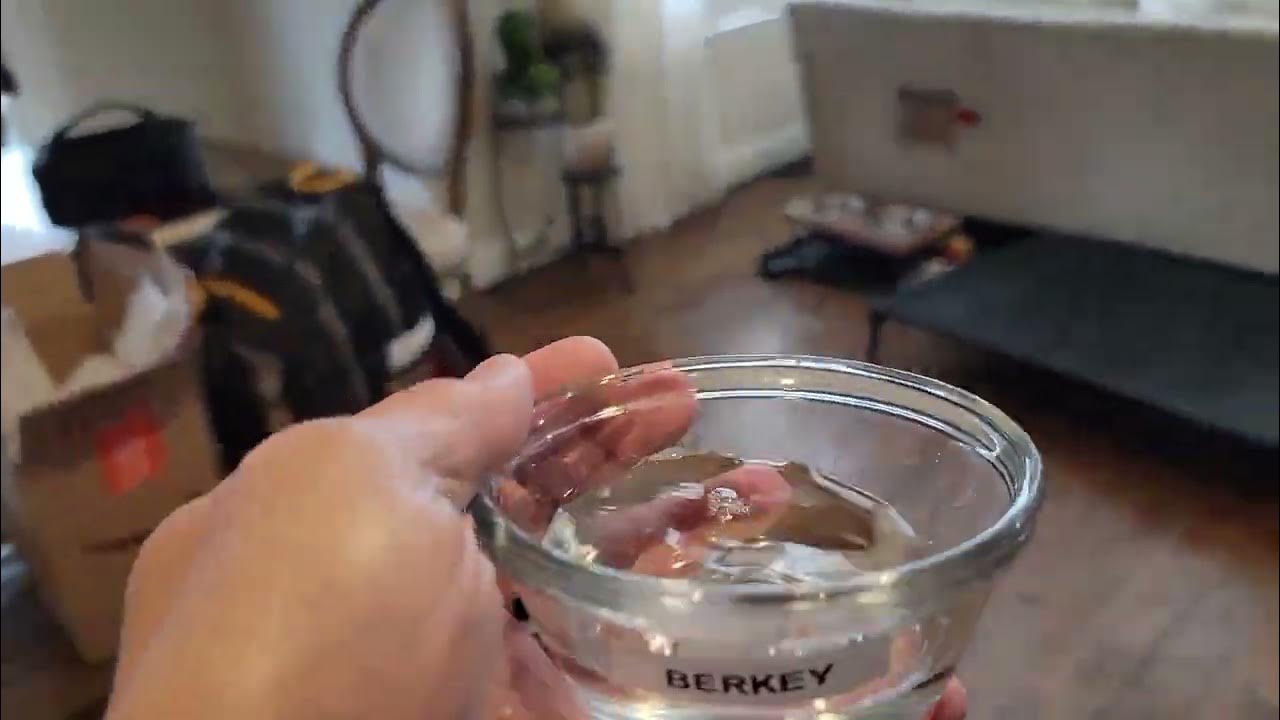 Water Filter test...Zero water vs Berkey vs Fridge vs Tap water. YouTube