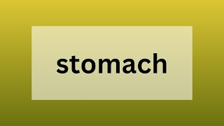 Stomach | Definition, Origin and Function in Digestion