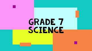 Plant Diversity/Grade 7 science English medium/Funny study