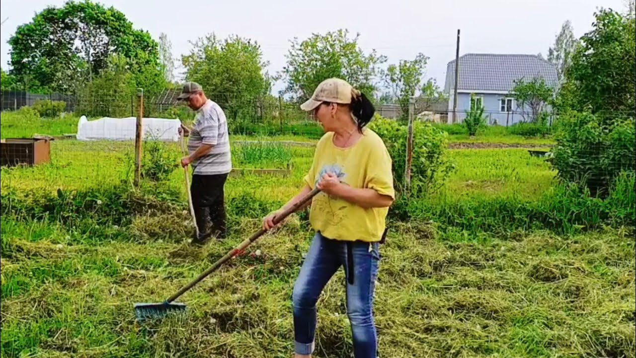 Очередной день в деревне на хозяйстве.