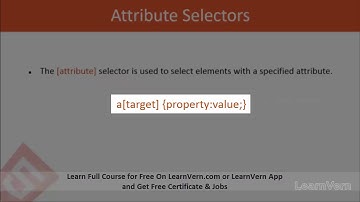 What Is An Attribute Selector? | CSS3 In Hindi Video
