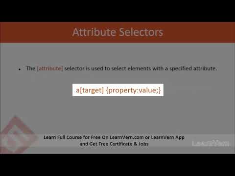 What Is An Attribute Selector? | CSS3 In Hindi Video