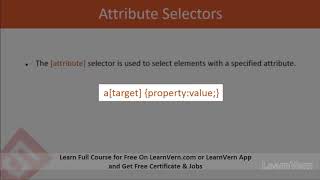 What Is An Attribute Selector | CSS3 In Hindi Video