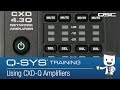 Q-SYS: Using CXD-Q in your Design