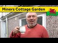 18. Exploring my Welsh Miners Cottage Garden - Living Alone in Wales (February 2024)