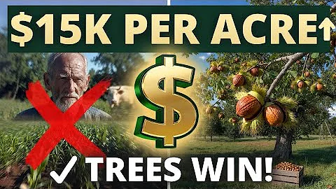"Why Smart Farmers Are Planting Trees Instead of Corn (The Math Will Shock You!)"