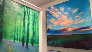 John Connolly's Solo show 'Edges and Hedges at No Naked Walls Gallery