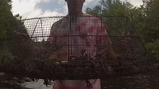 Crayfish trapping