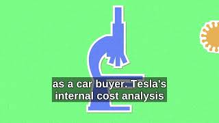 Tesla Model 3 vs Model Y: Which One Wins?
