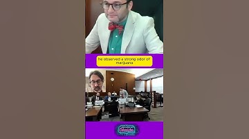 Judge Fleischer STRIKES DOWN Weak Gun Charges on Teen! ⚖️ “No Probable Cause!” 💥