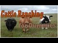 Cattle Ranch chrome extension