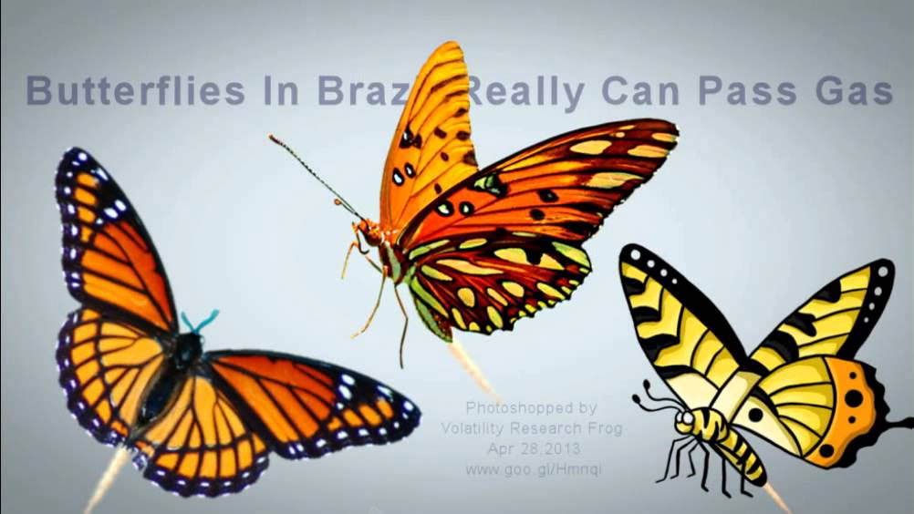 See How Butterflies In Brazil Really Can Pass Gas Video