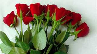 Seçkin Topaç Bir Kızıl Goncaya Benzer Dudağın Resimi