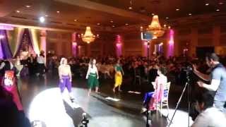 Roy & Sarahs Bridal Party Dance 2014