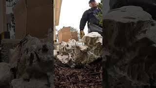 From 2 Days to 15 Minutes Net Worth