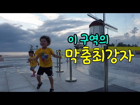 바닷가에서 노래에 몸을 맡기는 남매의 막춤