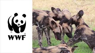 Kroger Zero Hunger Zero Waste and WWF | Zero Hunger Zero Waste | Kroger