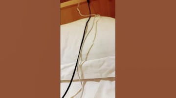 Loop #lofi #beats #music #rnb #lofihiphop #funny #helpmemakethismakesense #duet