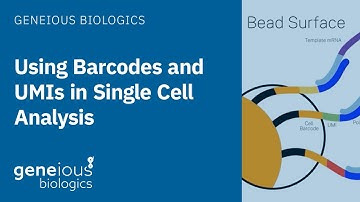 Geneious Biologics: Understanding Barcodes and UMIs