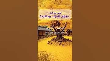 والذين إذا ذكروا بآيات ربهم لم يخروا عليها صما وعميانا | صلاح المصلي | تلاوة من سورة الفرقان.