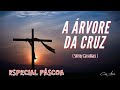 A Árvore da Cruz - Shirley Carvalhaes