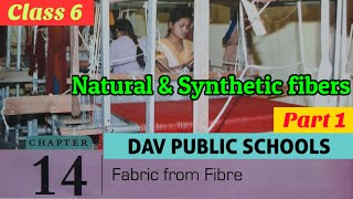 DAV class 6 Science chapter 14 Part 1