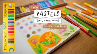 : Trying Pastels for the first time (very cheap Pastels)