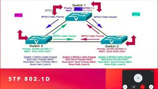 CISCO CCNA SWITCH- Spanning Tree protocol