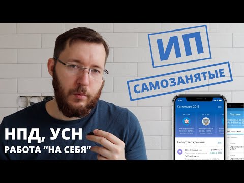 ИП или самозанятость в 2025 году. Что лучше? Плюсы и минусы ИП по сравнению с самозанятыми
