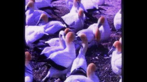 TF-VTA01 video LED display controller with RGB LED module